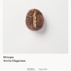 ethiopiaarichamagarissa