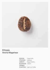 ethiopiaarichamagarissa